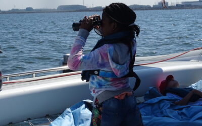 Een dagje zeilen met de Compaen